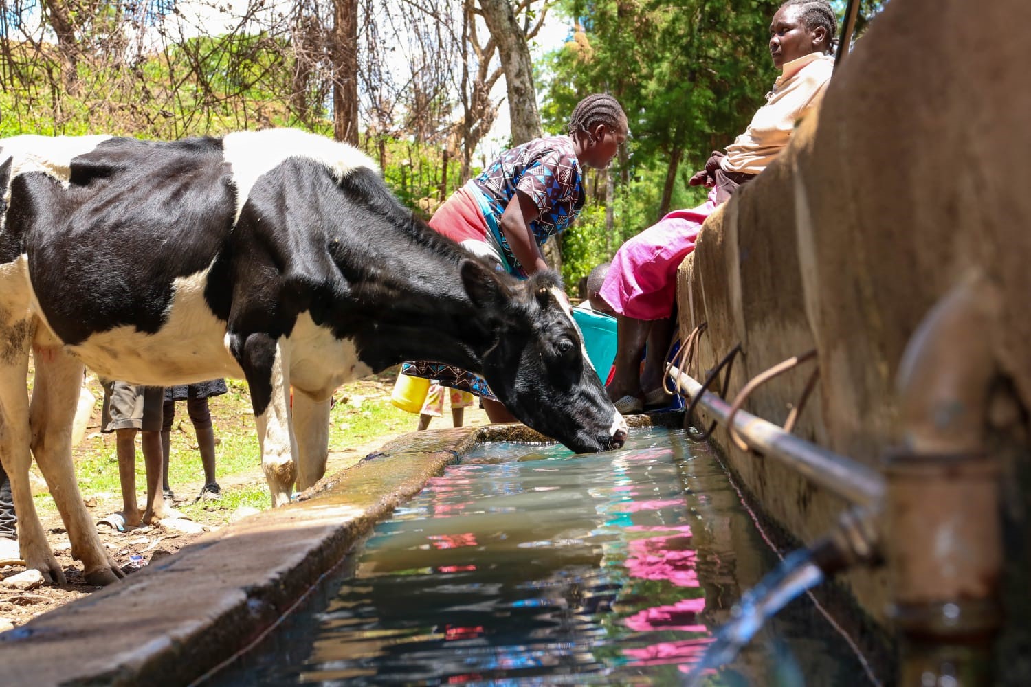 Community Water Point Project Kenya Rural Development