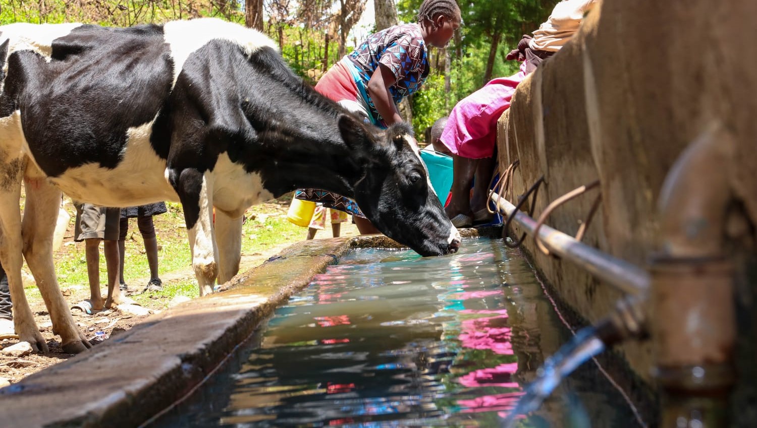 Sacho Tenges PPCP Water Project Baringo County Kenya